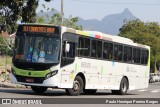 Viação Nossa Senhora de Lourdes B58028 na cidade de Rio de Janeiro, Rio de Janeiro, Brasil, por Paulo Henrique Pereira Borges. Número da foto: #12390434.