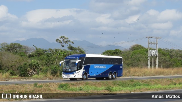 TransBorges 1332 na cidade de Maracanaú, Ceará, Brasil, por Amós  Mattos. Número da foto: #12392650.