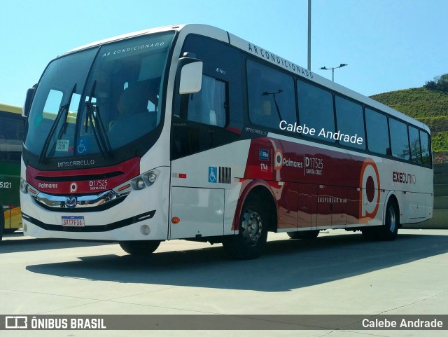 Auto Viação Palmares D17525 na cidade de Duque de Caxias, Rio de Janeiro, Brasil, por Calebe Andrade. Número da foto: #12391727.