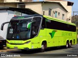 Pássaro Verde 24185 na cidade de Ponte Nova, Minas Gerais, Brasil, por Davi Neves. Número da foto: #12393801.