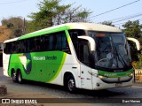 Pássaro Verde 11101 na cidade de Ponte Nova, Minas Gerais, Brasil, por Davi Neves. Número da foto: #12393783.