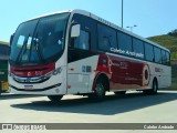 Auto Viação Palmares D17525 na cidade de Duque de Caxias, Rio de Janeiro, Brasil, por Calebe Andrade. Número da foto: #12391727.