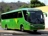 Pássaro Verde 15128 na cidade de Ponte Nova, Minas Gerais, Brasil, por Davi Neves. Número da foto: #12393793.
