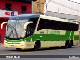 Pássaro Verde 16900 na cidade de Ponte Nova, Minas Gerais, Brasil, por Davi Neves. Número da foto: #12393807.