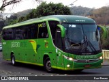 Pássaro Verde 15131 na cidade de Ponte Nova, Minas Gerais, Brasil, por Davi Neves. Número da foto: #12393778.