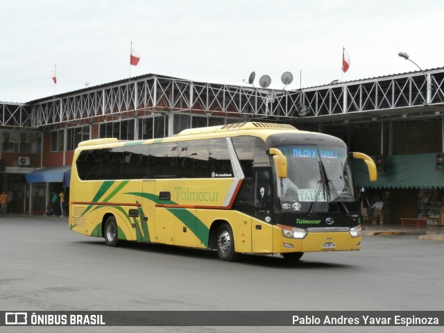 Talmocur 36 na cidade de Curicó, Curicó, Maule, Chile, por Pablo Andres Yavar Espinoza. Número da foto: #12396197.