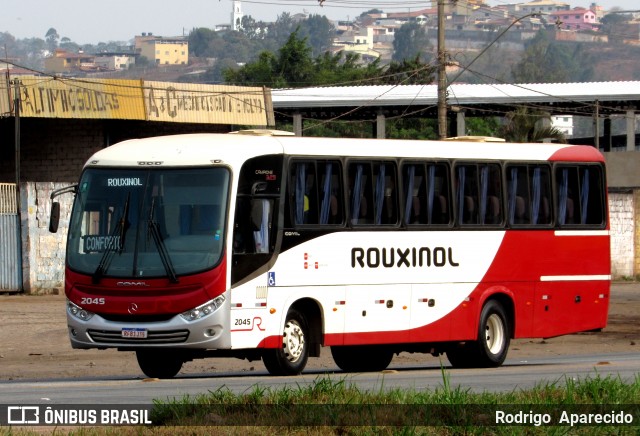 Rouxinol 2045 na cidade de Conselheiro Lafaiete, Minas Gerais, Brasil, por Rodrigo  Aparecido. Número da foto: #12395890.
