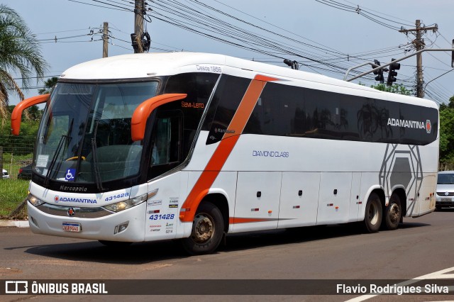 Expresso Adamantina 431428 na cidade de Campo Grande, Mato Grosso do Sul, Brasil, por Flavio Rodrigues Silva. Número da foto: #12395367.