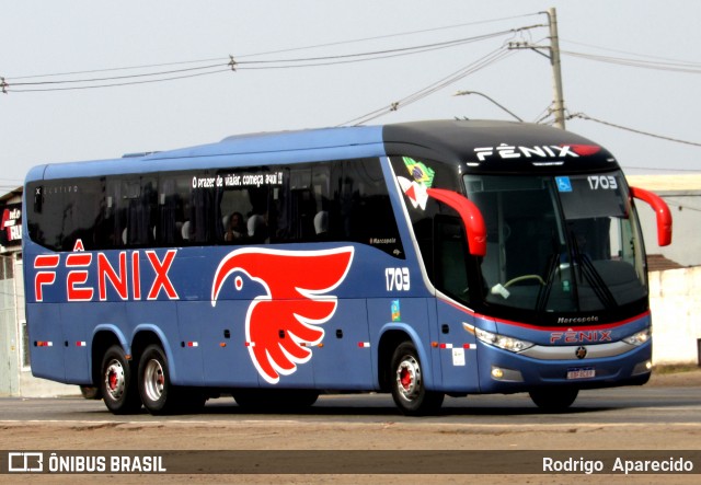 Fênix Turismo 1703 na cidade de Conselheiro Lafaiete, Minas Gerais, Brasil, por Rodrigo  Aparecido. Número da foto: #12395937.